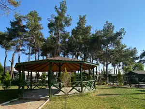 Teacher Suleyman lame summerhouse Park