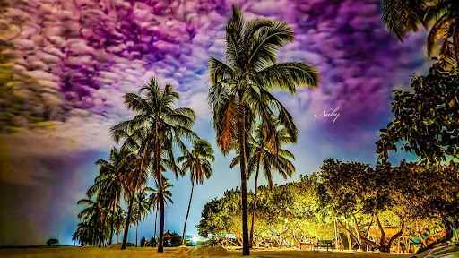 Doha to Hoarafushi Flights