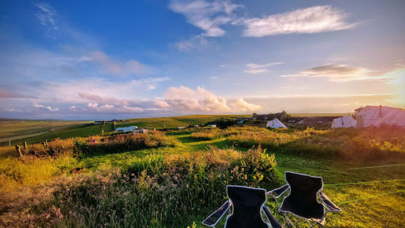 Wheems Organic Farm and Campsite ( Book Direct For Best Prices )