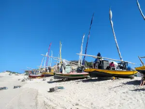 Dança dos coco de praia do Iguape cabral