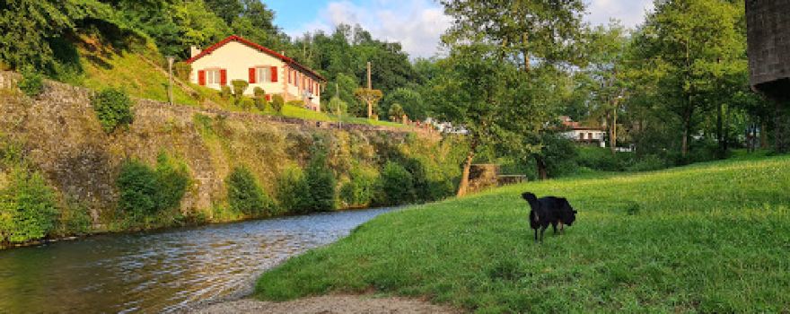 Commune de Saint Jean Pied de Port