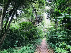 KNUST Botanical Garden