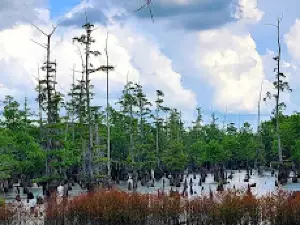 Cheniere Lake Park