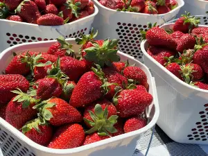 The Farmers' Daughter