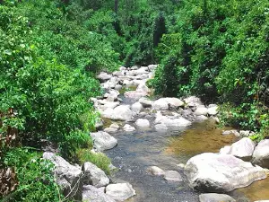 Trường Sơn Đông