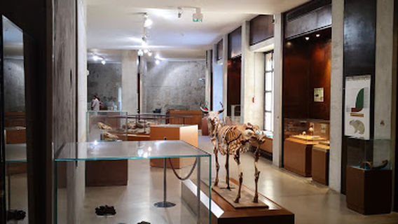 Musée de l'Alta Rocca - Museu di l'Alta Rocca