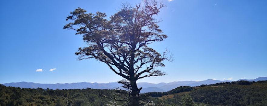Mount Richardson
