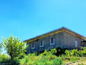Laleh Hall