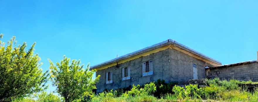 Laleh Hall