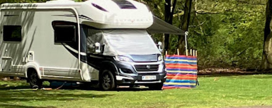 Camping in the Forest