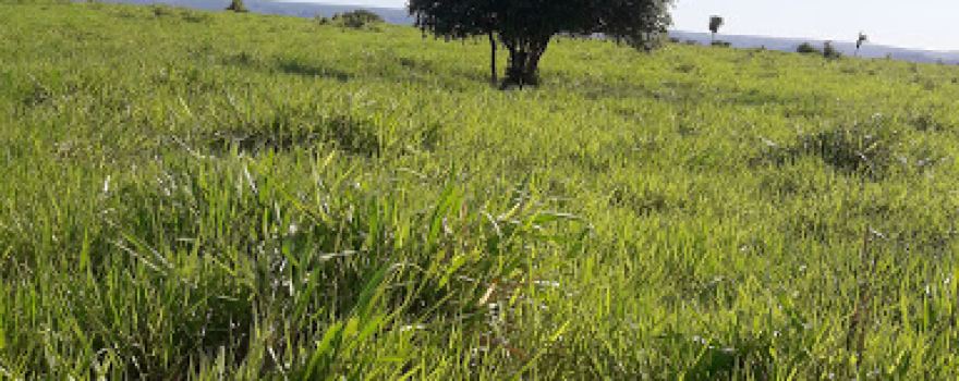 Serra da Massaranduba