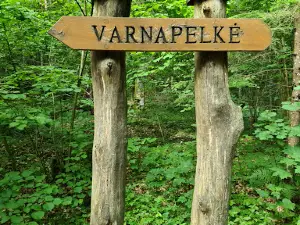 Jomantai forest trail