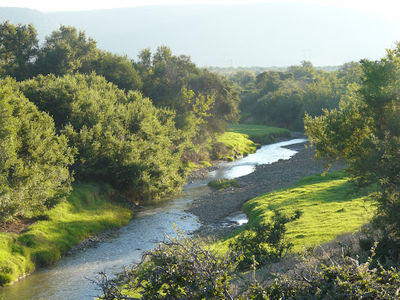 Belvedere Safaris and Hunting