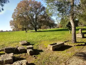 Ancient Theater of Elis