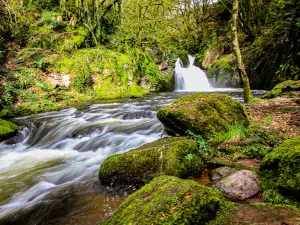 Mullinhassig Wood & Waterfalls, Aghavrin