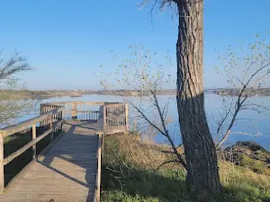 Downstream Camping