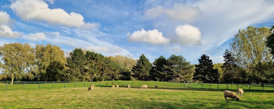 Ferme Pédagogique du Parc du Lion