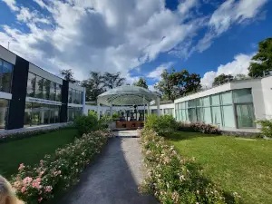 Park Rose Garden