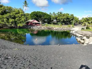 Isaac Hale Park