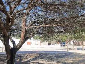 Plaza Belgrano