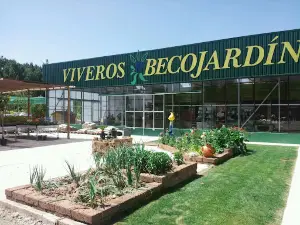 Becojardín Viveros