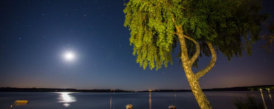 Camping Beau-Rivage Pareloup Lake