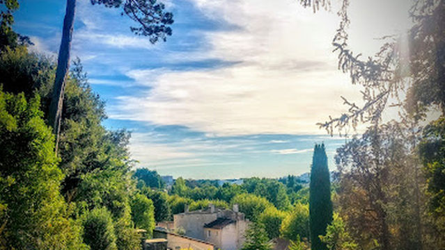 Jardin des Plantes de Niort