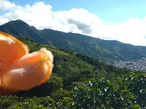 Mirador La Polka