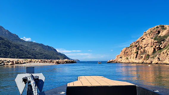 Alpana sea excursions