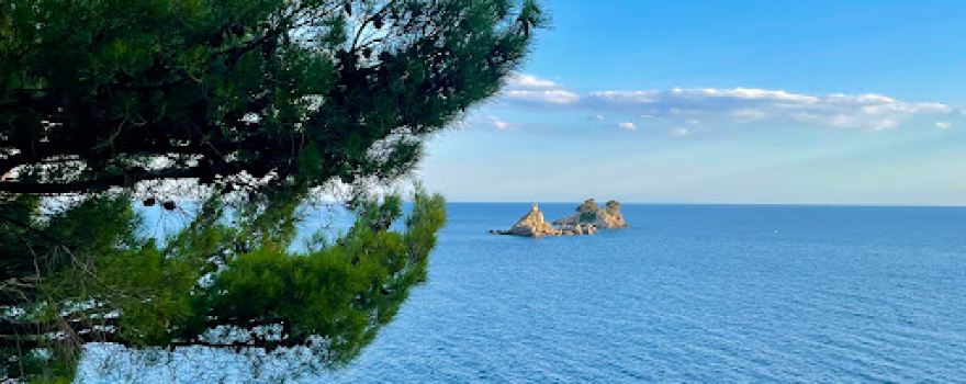 Petrovac Viewpoint