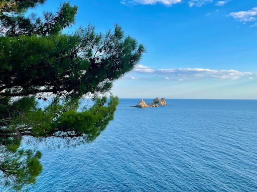 Petrovac Viewpoint