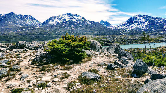 Alaska Mountain Guides Adventure Park and Zip Line