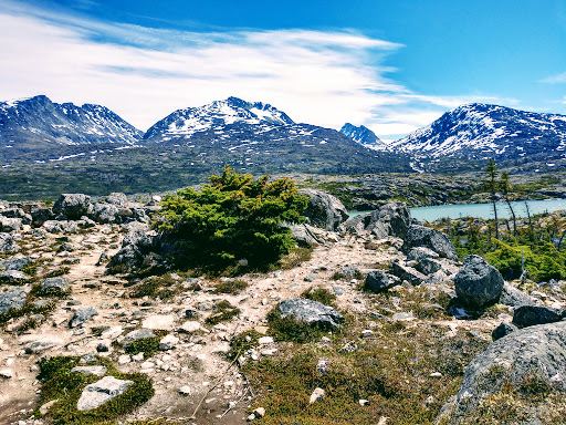 Alaska Mountain Guides Adventure Park and Zip Line