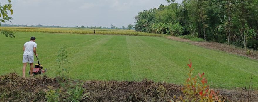 Lapangan sepakbola Trongso