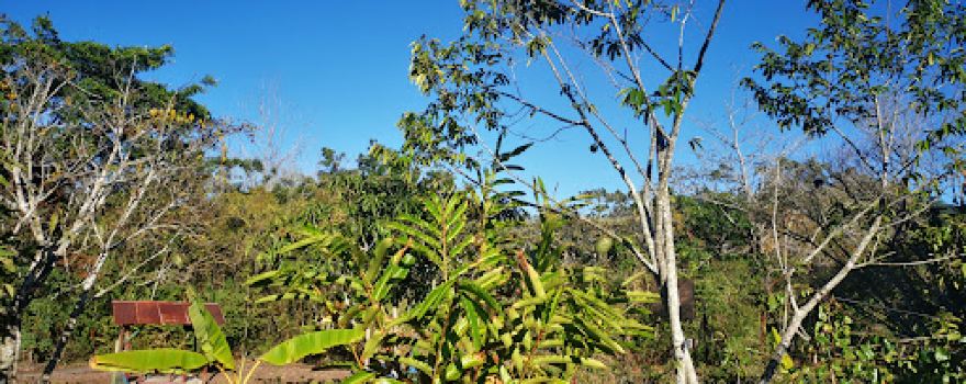 Palmitos Park