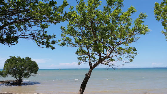 Kupang