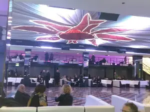 Dancing Ciao Ciao