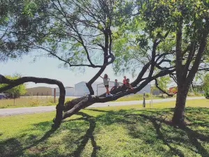 Bulverde Community Park