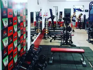 Alpha Academia