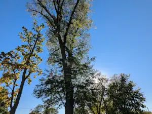 Fike Park