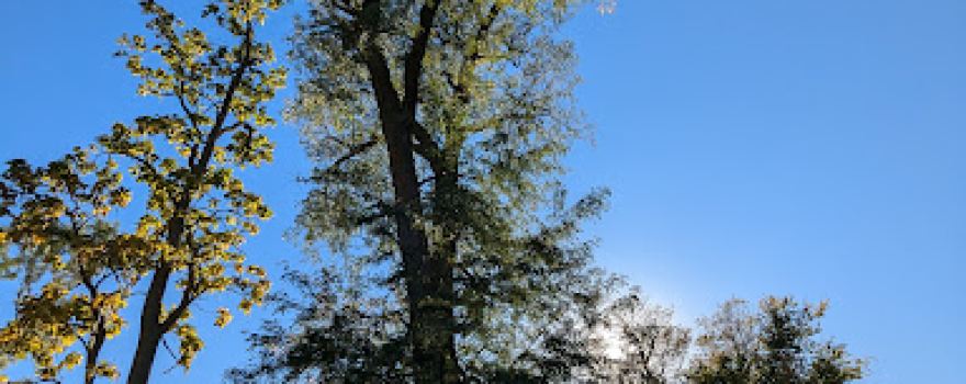 Fike Park