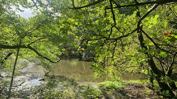Hase-Insel und Hase-Altarm