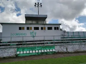 Estadio Jose Gomes da Costa