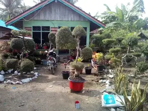 Lapangan Sepak Bola Bualemo B