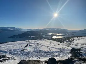 Høgkubben