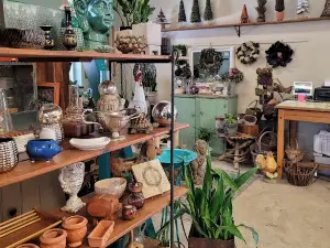 Carol Watson Greenhouse and Landscaping