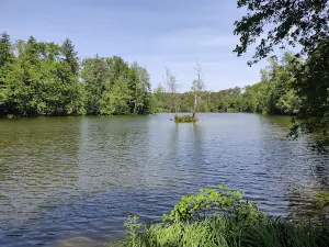 Höllohe Nature Park