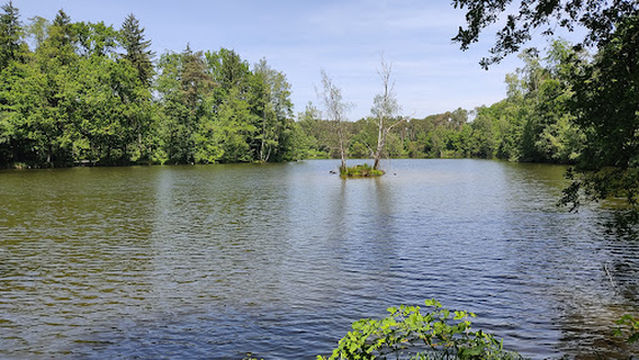 Заповедник Хёллоэ