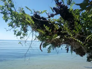 Pantai Nalera