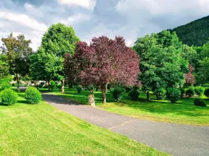 Camping La Vignogue